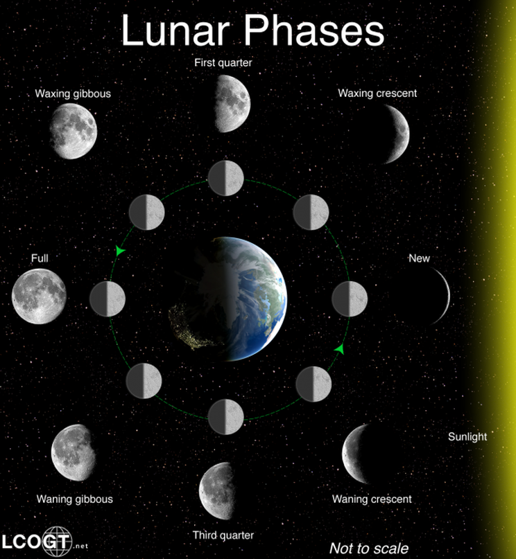 The Lunar Cycle - Amaya's Page for Earth, Sun, & Moon Relations